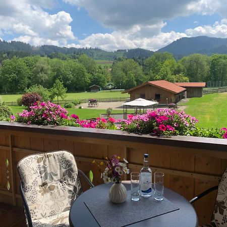 Gaestehaus "Zur Schmiede" Wertach Kültér fotó